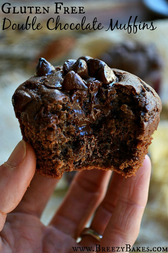 Is Hershey'S Cocoa Powder Dairy Free
 Gluten Free Dark Chocolate Muffins Breezy Bakes