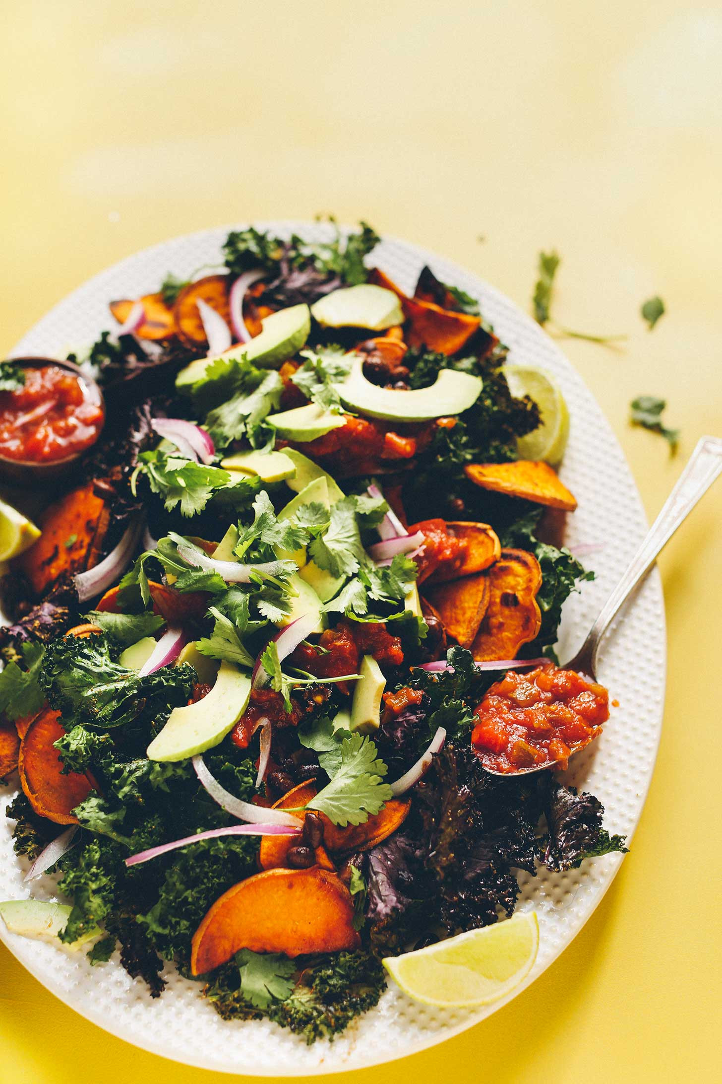 Kale Recipes Vegan
 Gluten Free Vegan Kale Nachos