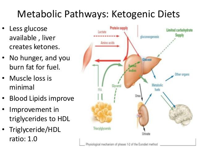 Keto Diet And Fatty Liver
 Is a Keto Diet Bad for Your Liver – Lauren Naturals