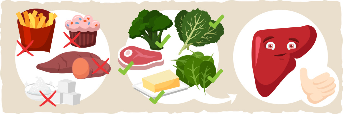 Keto Diet And Fatty Liver
 The Benefits of The Ketogenic Diet