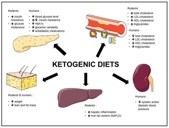 Keto Diet And Heart Disease
 Nutrients Free Full Text