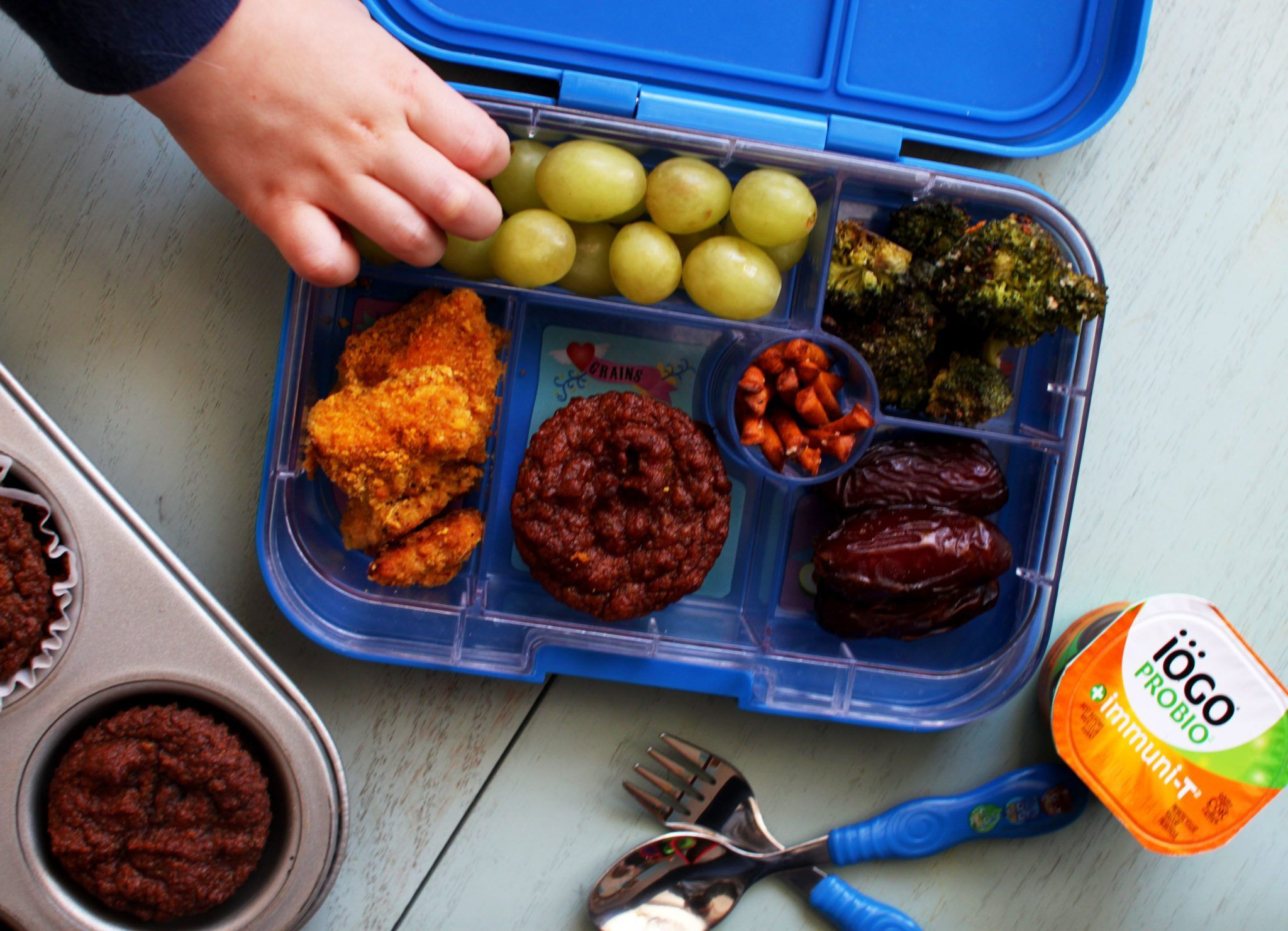Kid Friendly Dinners For Picky Eaters
 Picky Eaters Lunch Box Sneaky Mommies Kid Friendly