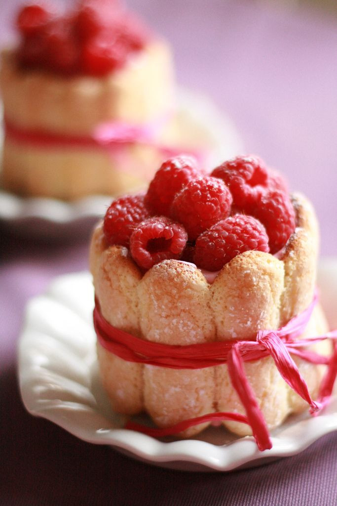 Lady Finger Dessert Recipes
 16 best "Lady Finger Cake" Recipes images on Pinterest