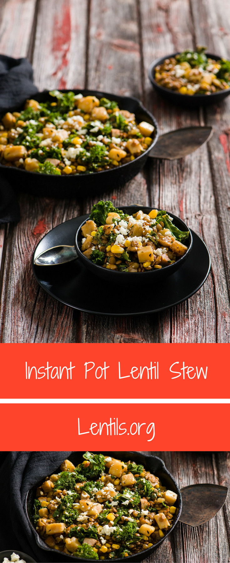 Lentil Stew Instant Pot
 Instant Pot Lentil Stew Recipe