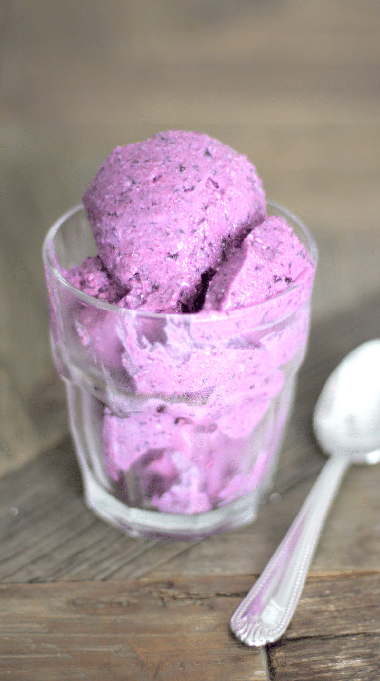 Low Calorie Blueberry Desserts
 Healthy Ice Cream Recipes