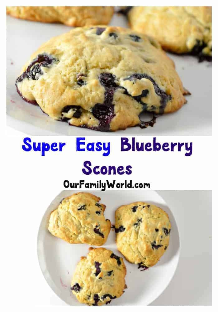 Low Calorie Blueberry Desserts
 Low Calorie Dessert – Blueberry Scone