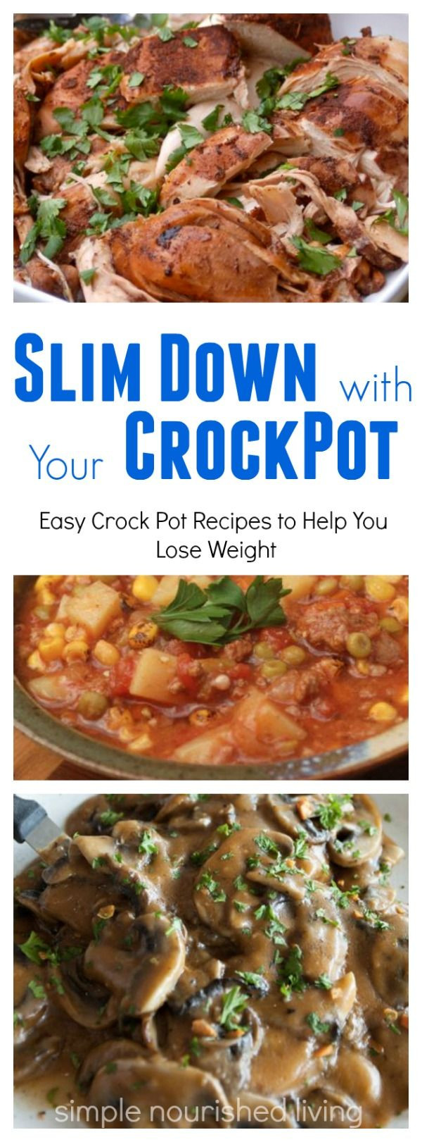 Low Calorie Crockpot Recipes
 Easy Healthy Low Calorie Slow Cooker Recipes with