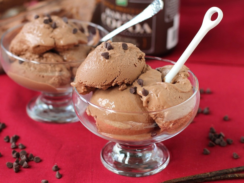 Low Calorie Ice Cream Recipes For Ice Cream Maker
 20 the Best Ideas for Low Fat Ice Cream Recipes for