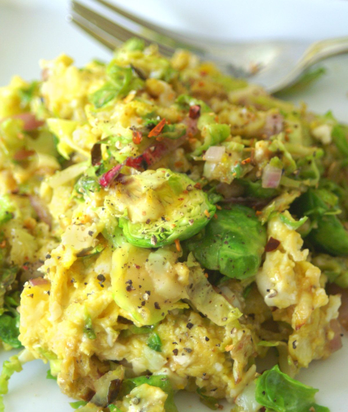 Low Calorie Paleo Recipes Best Of Low Calorie Breakfast Eggs Recipe