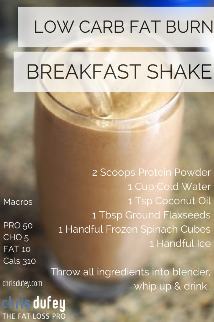 Low Carb Protein Shake Recipes For Weight Loss
 Low Carb Fat Burning Breakfast Smoothie