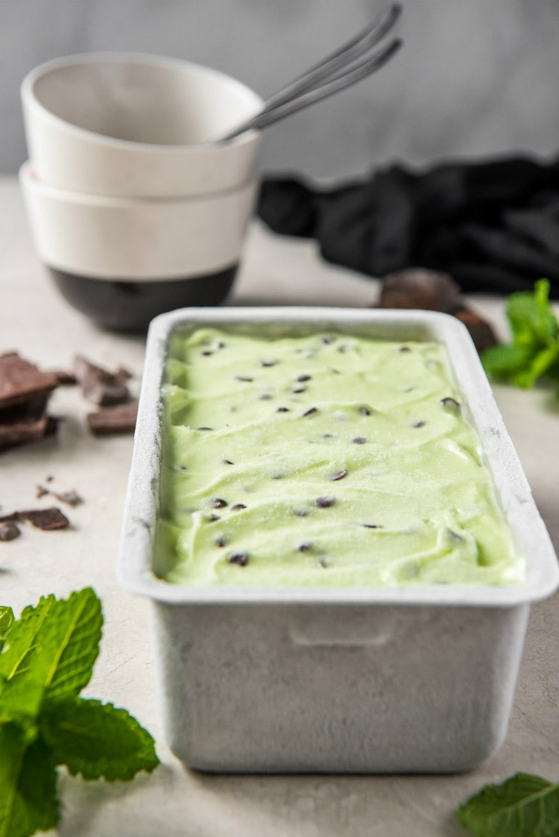 Low Fat Ice Cream Recipes
 Low Fat Mint Chocolate Chip Ice Cream