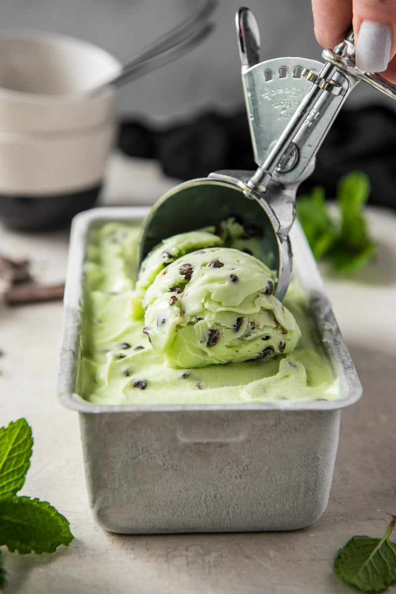 Low Fat Ice Cream Recipes
 Low Fat Mint Chocolate Chip Ice Cream