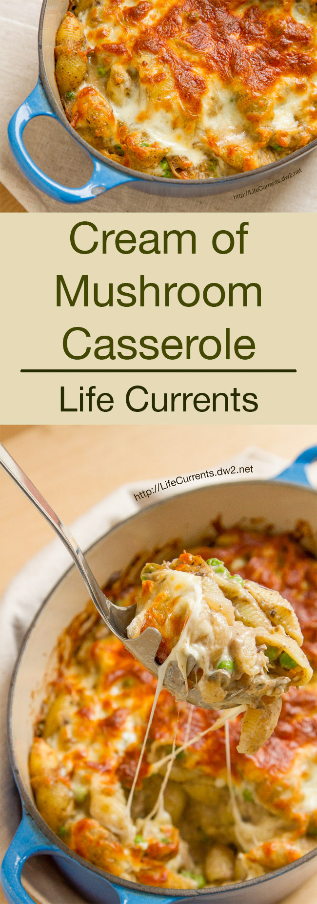 Mixed Vegetable Casserole With Cream Of Mushroom Soup
 Cream of Mushroom Casserole Life Currents