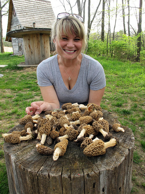 Morel Mushrooms Season Beautiful 5 Signs It S Morel Mushroom Season In Indiana
