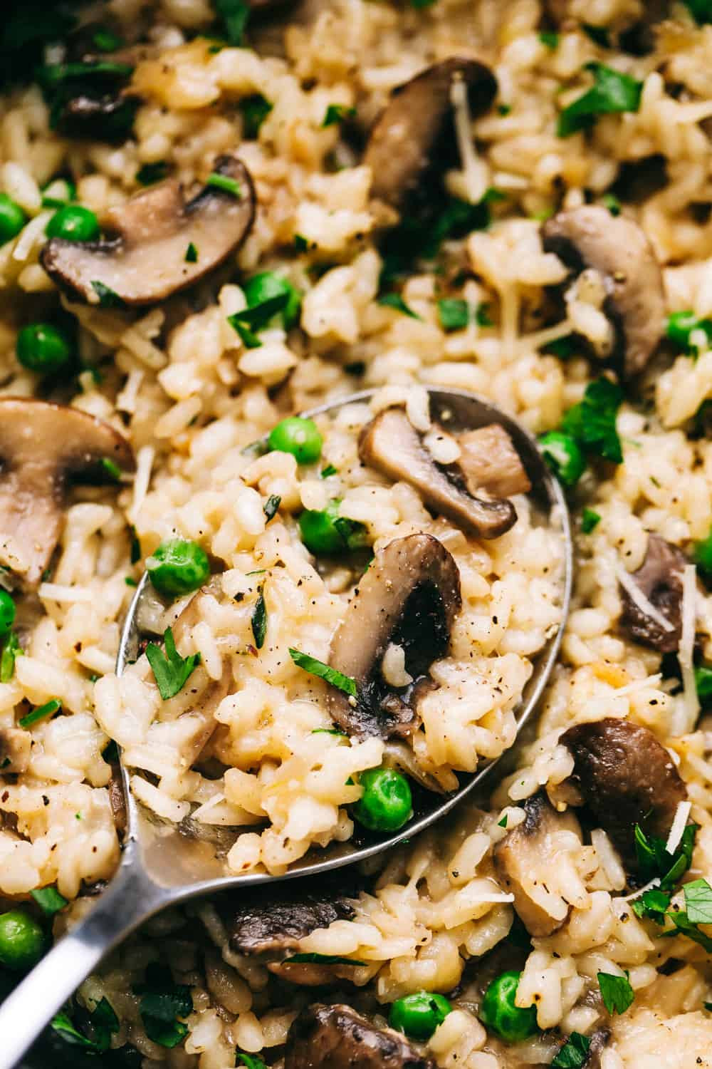 Mushroom Risotto Calories
 How to Make the BEST Mushroom Risotto