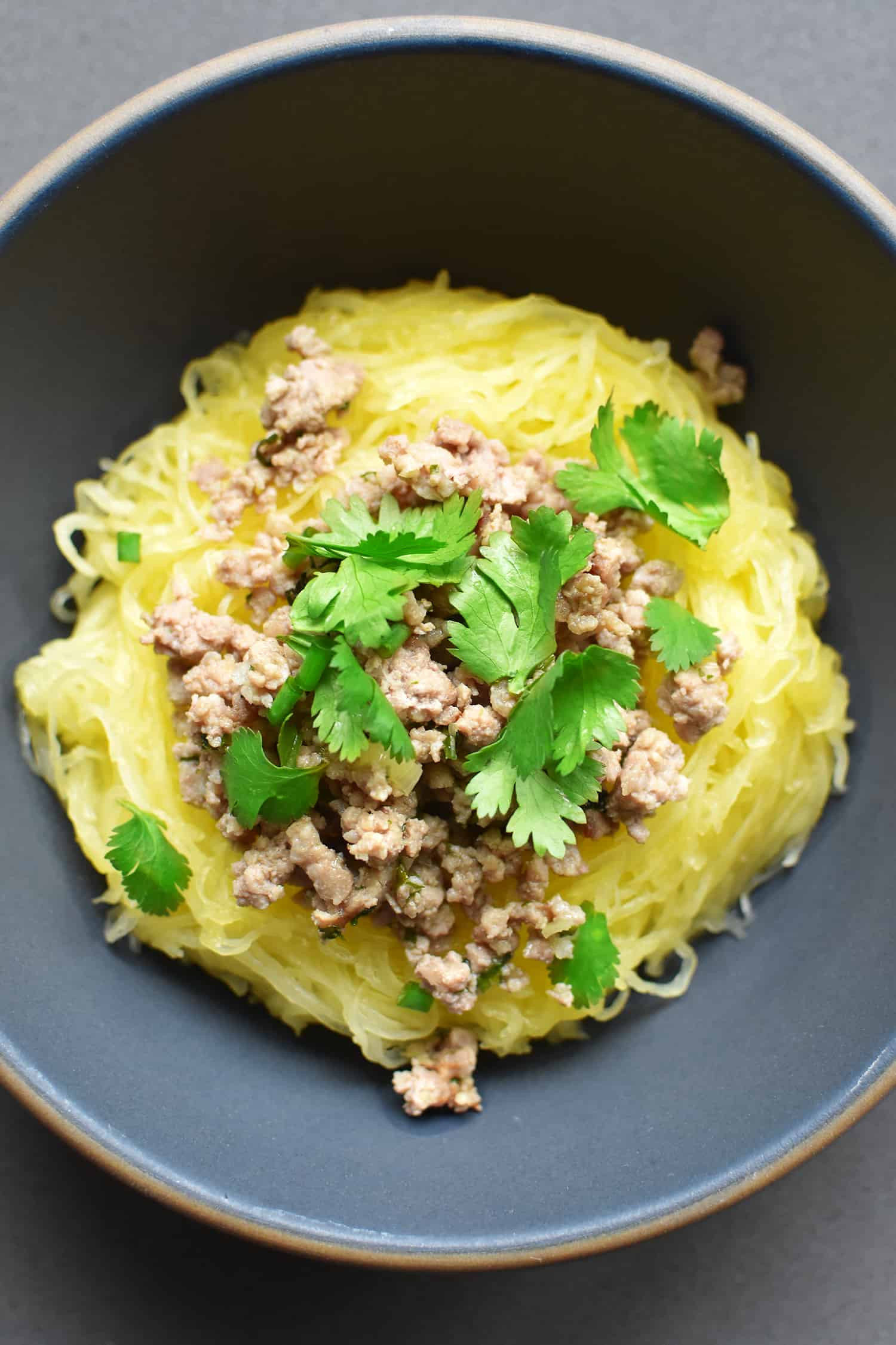New York Times Instant Pot Recipes
 Instant Pot Pressure Cooker Spaghetti Squash Nom Nom