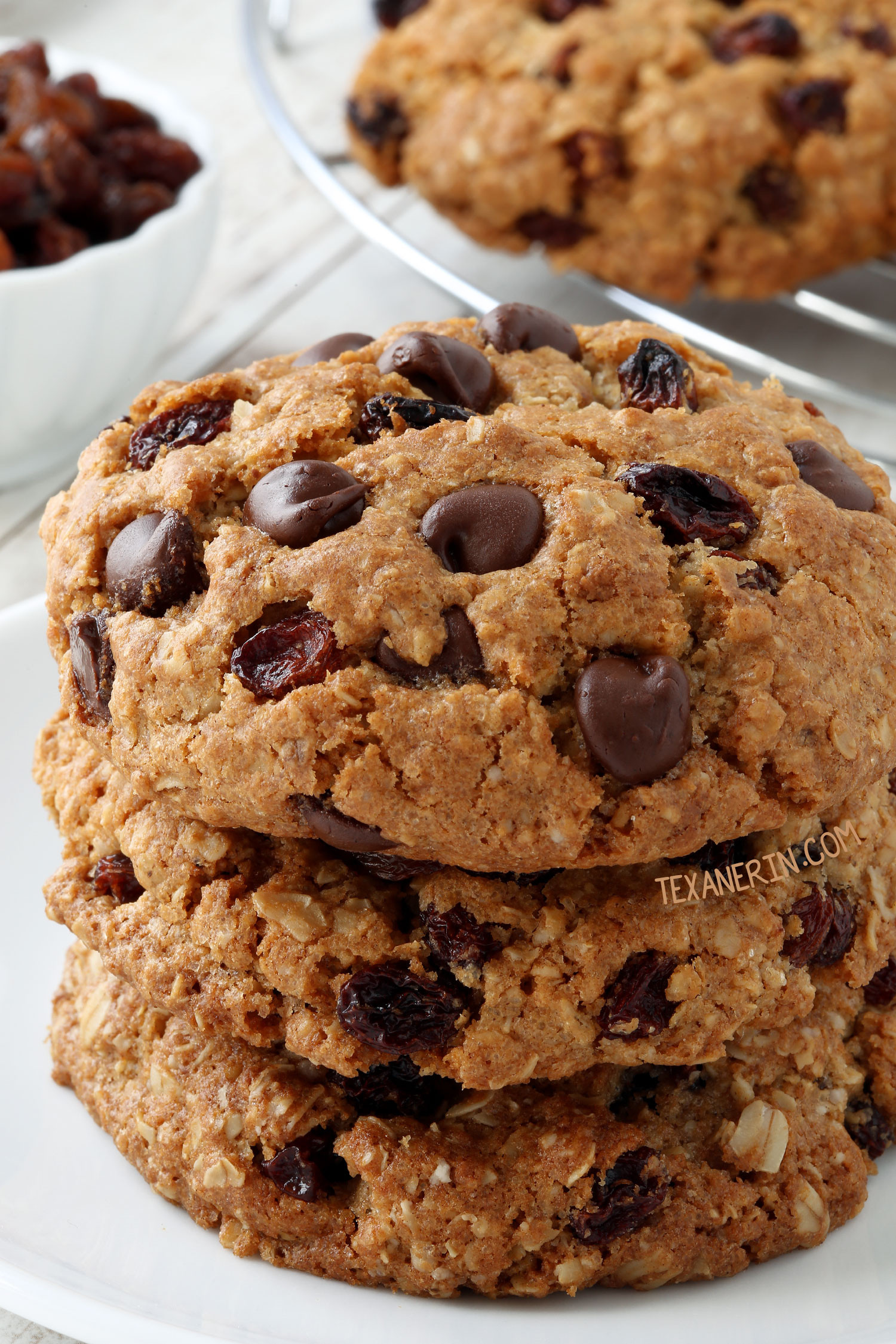 Oatmeal Gluten Free Cookies Lovely 20 Gluten Free Cookies You Ll Want to Inhale Texanerin