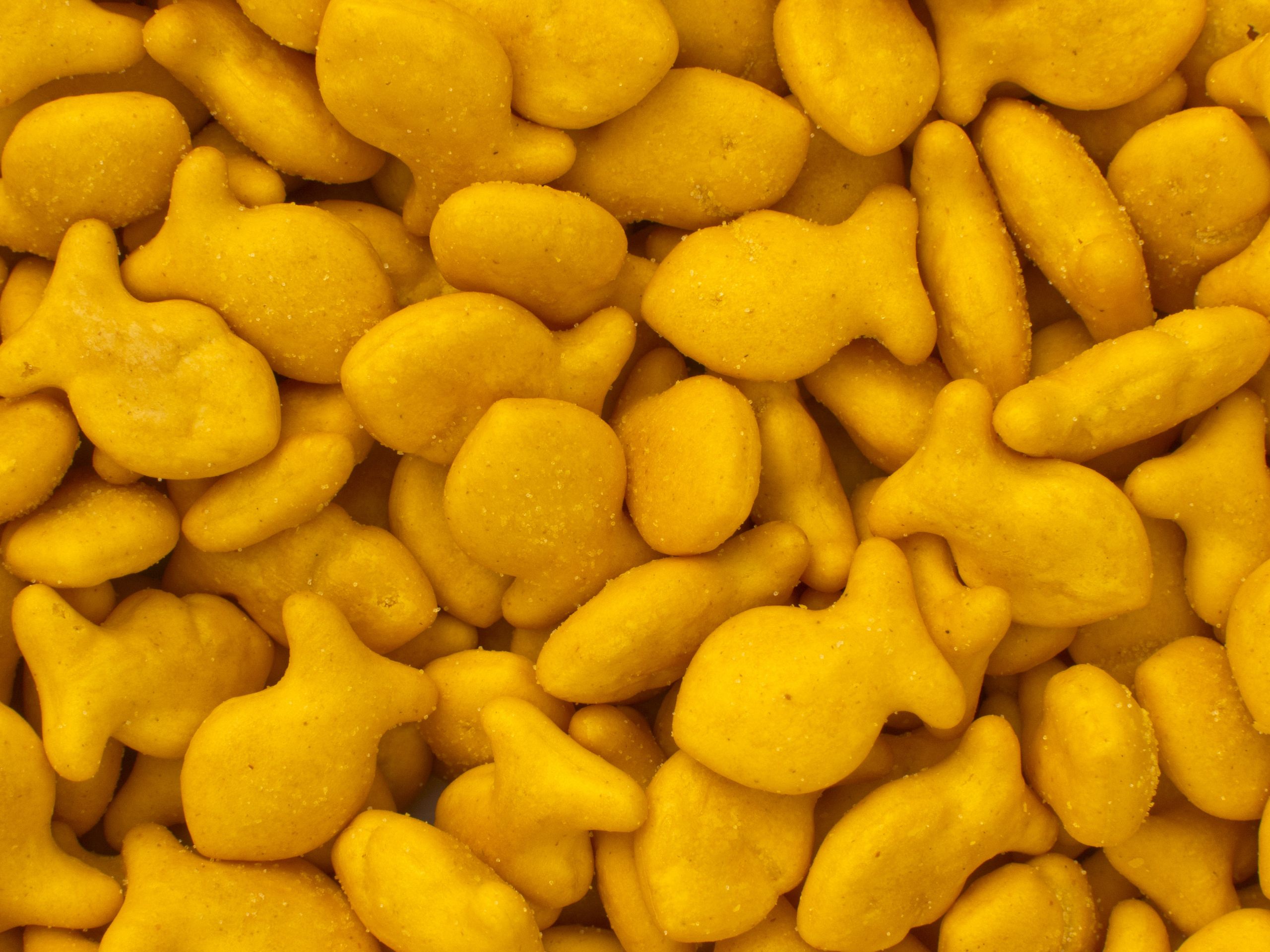 Original Goldfish Crackers
 File Goldfish Crackers