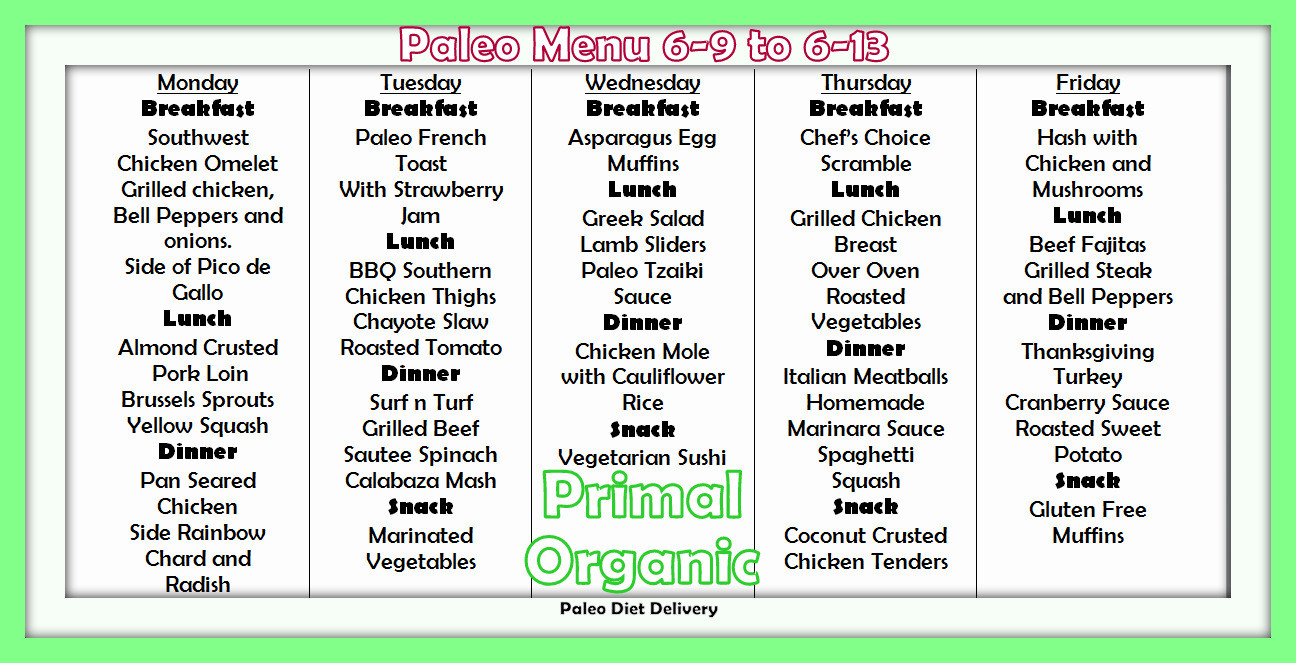 Paleo Diet Delivered Review
 2014 52 Weeks Paleo Primal Organic