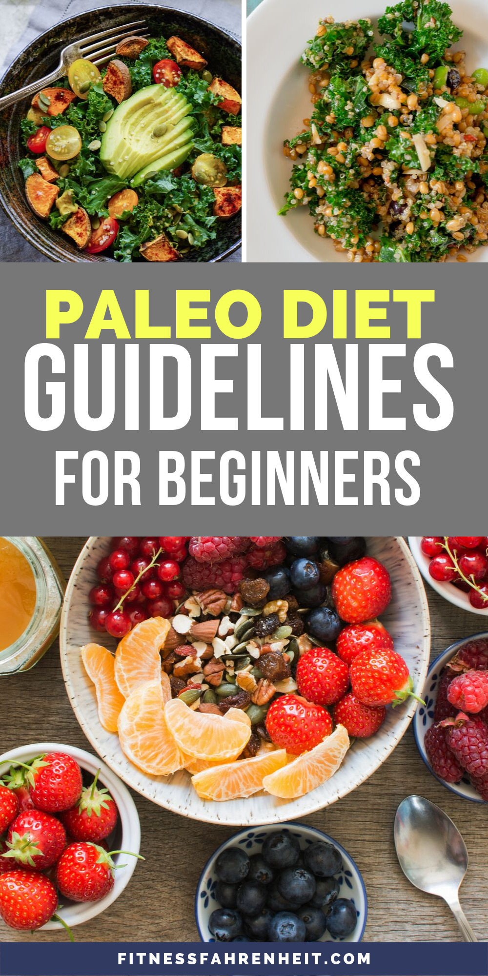 Paleo Diet Facts
 Paleo Diet Guidelines for Beginners
