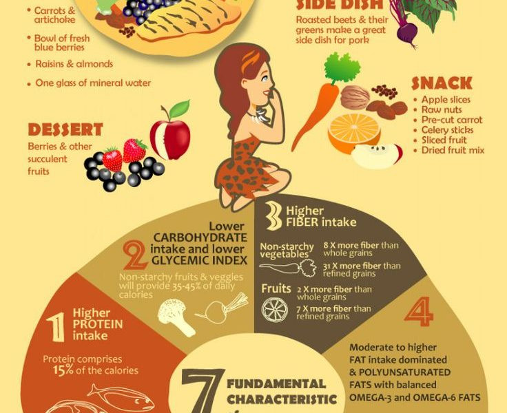 Paleo Diet Facts
 Paleo Diet Infographic Best Infographics