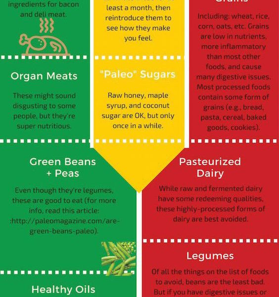 Paleo Diet Infographic
 Paleo Diet Food List Infographic Best Infographics