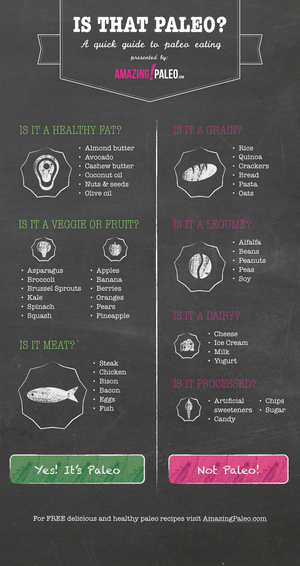 Paleo Diet Infographic
 5 Second Quick Paleo Diet Guide by AmazingPaleo