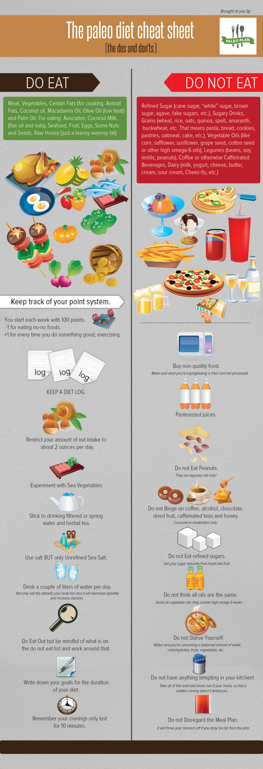 Paleo Diet Infographic
 The Paleo Diet Tips Infographic Best Infographics