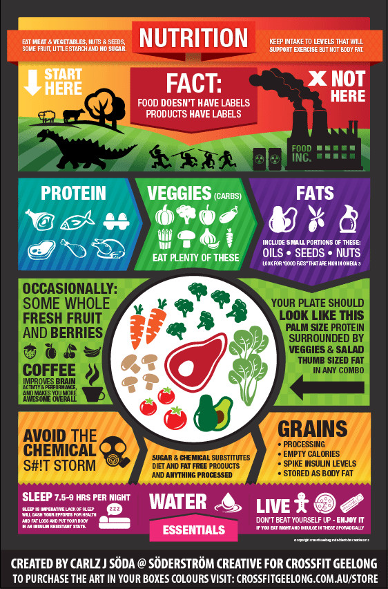 Paleo Diet Infographic
 Feeling the Paleo Burn Facts Versus Fiction [infographic]
