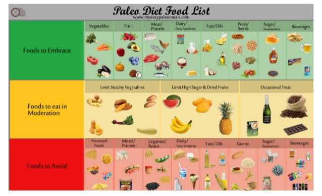 Paleo Diet Infographic
 Paleo Diet Food List Infographic