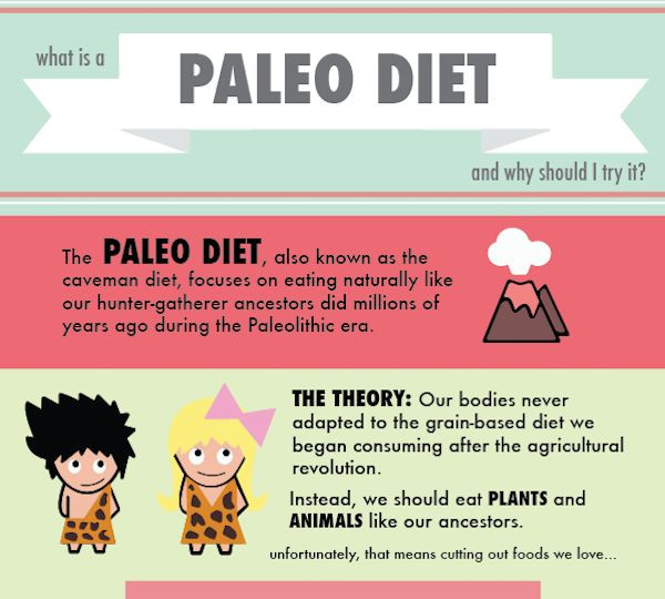 Paleo Diet Infographic
 Paleo Diet Guides paleo infographic
