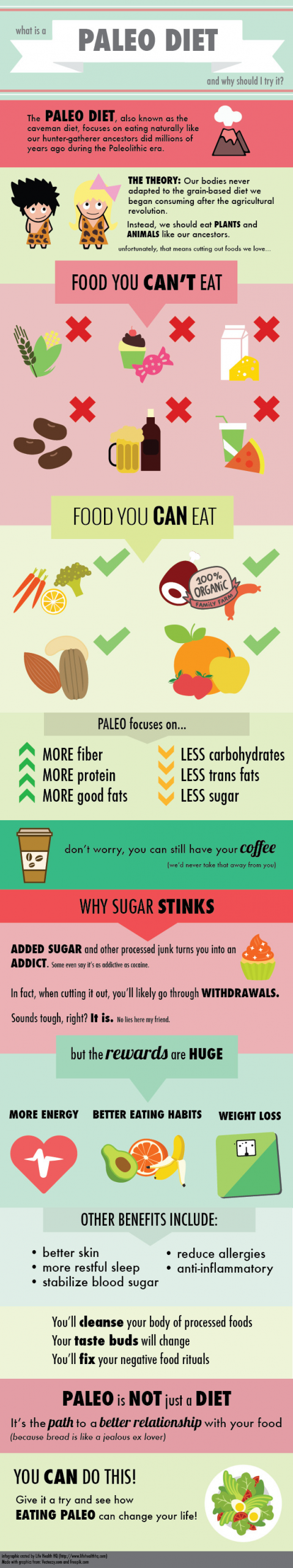 Paleo Diet Infographic
 What Is A Paleo Diet [Infographic]