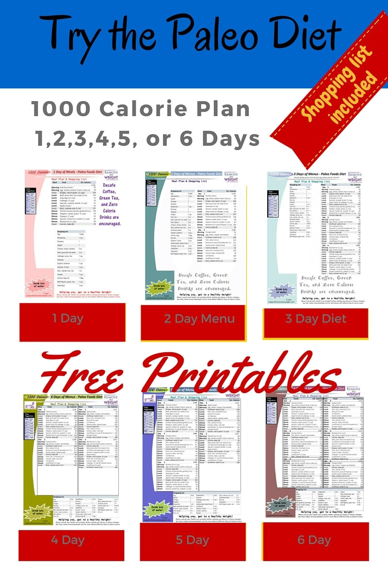 Paleo Diet Meal Plan For Weight Loss Pdf
 Paleo Diet 1000 Calories Per Day Menu Plan for Weight Loss