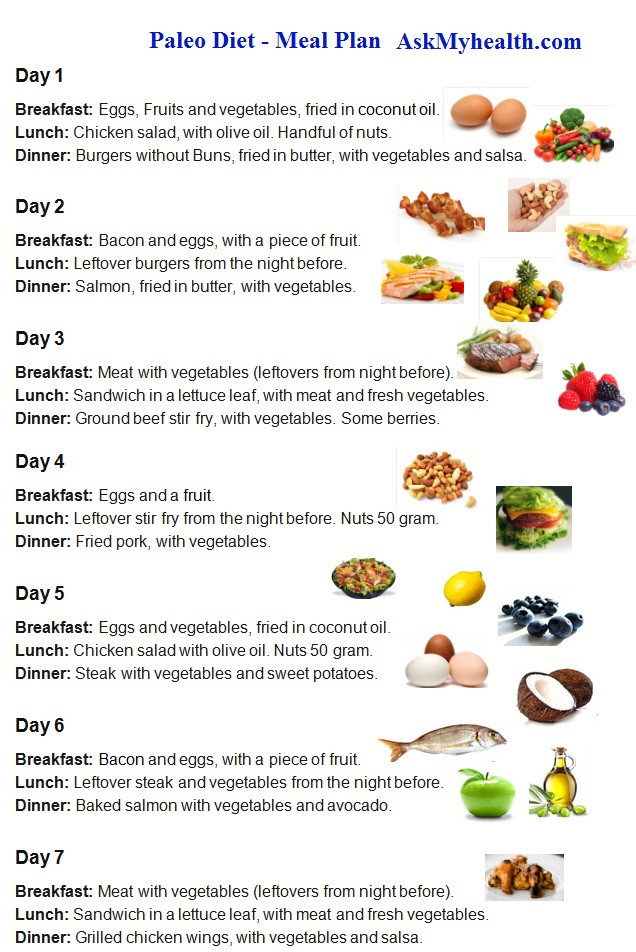 Paleo Diet Meal Plan For Weight Loss Pdf
 15 Day Paleo Diet Meal Plan Every Thing About Paleo Diet