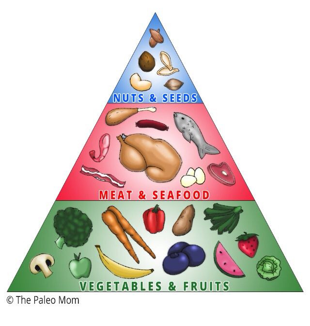 Paleo Diet Meaning
 The real food pyramid