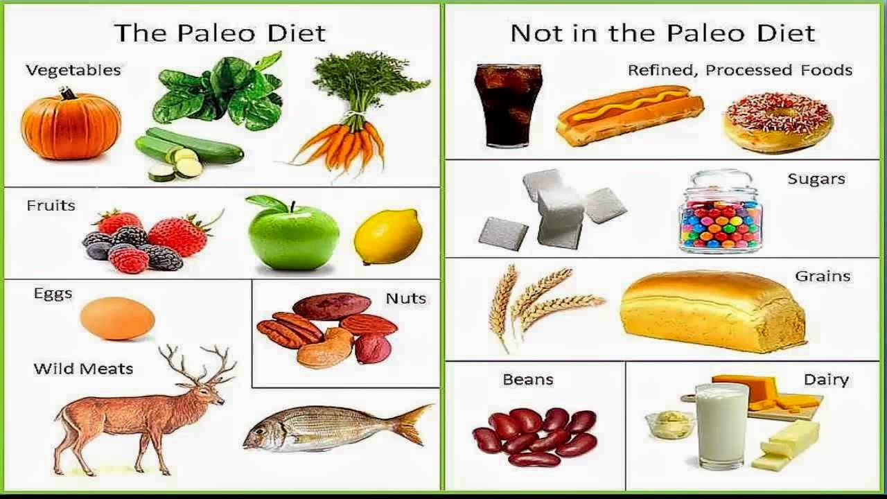 Paleo Diet Meaning
 WHO INVENTED IT March 2015