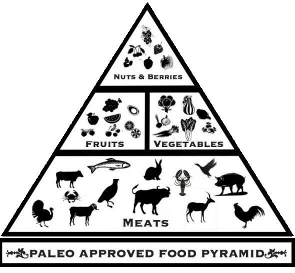Paleo Diet Meaning
 espuente ucsc Anthropology 1 with Schrader at