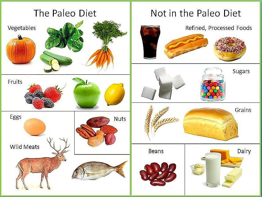 Paleo Diet Meaning Unique Simple Definition Of Paleo Clean Eating
