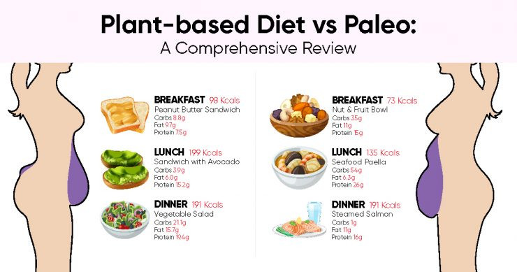 Paleo Diet Review Weight Loss
 Plant based Diet vs Paleo A prehensive Review Weight