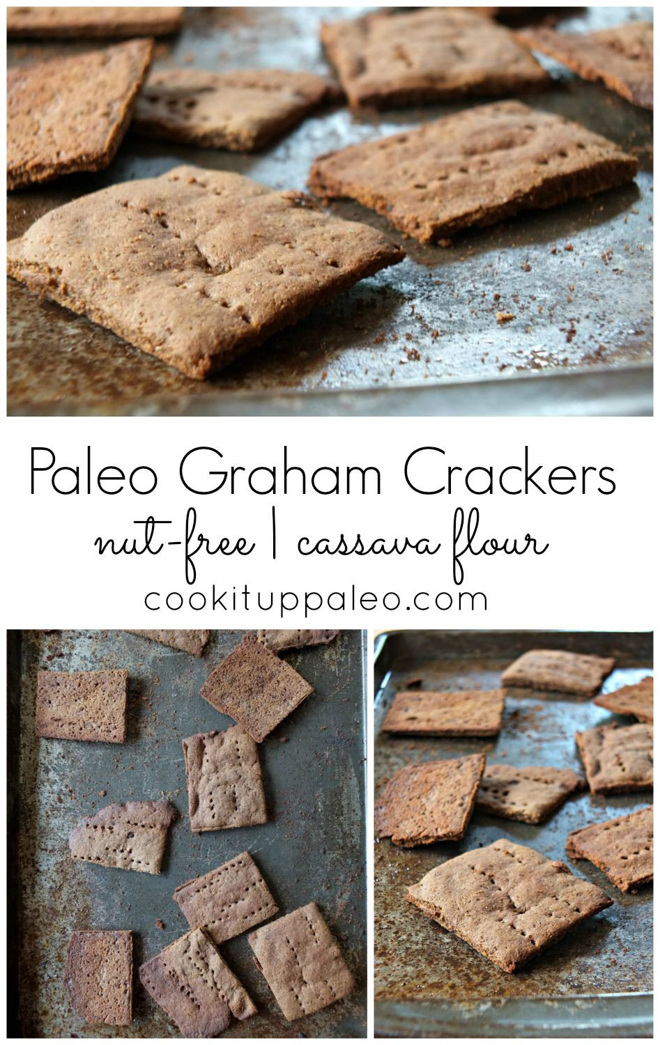 Paleo Graham Crackers
 grahamcrackers5