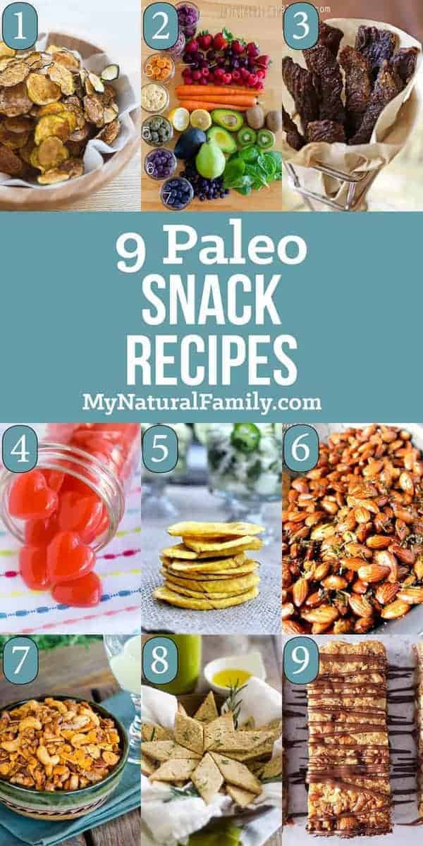 Paleo Snacks Recipes
 9 Paleo Snack Recipes Because Healthy Can Be Fast and Easy