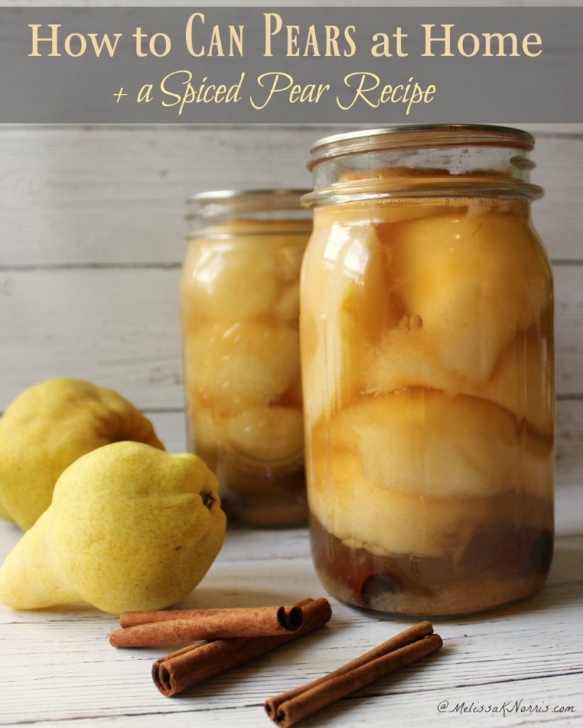 Pear Recipes for Canning Best Of How to Can Pears Spiced Pear Canning Recipe