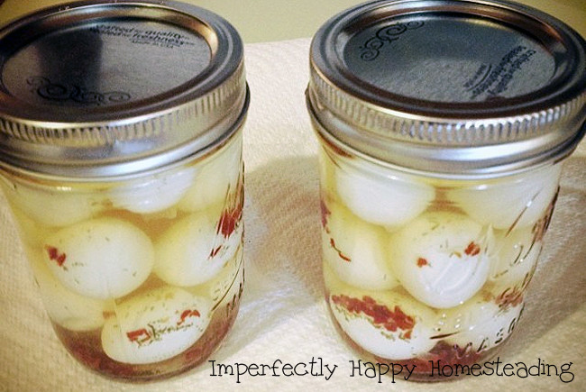 Pickled Quail Eggs Recipes
 Pickled Quail Eggs with a Kick Quick Yummy and a Family