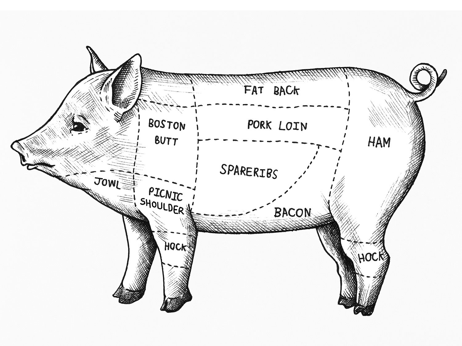 Pork Shoulder Butt
 Pork Shoulder Demystified Boston Butt Versus Picnic