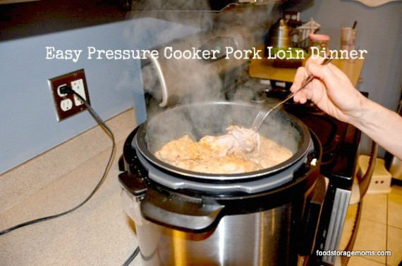 Pork Tenderloin Pressure Cooker
 Pressure Cooker How To Cook Dinner In e Hour
