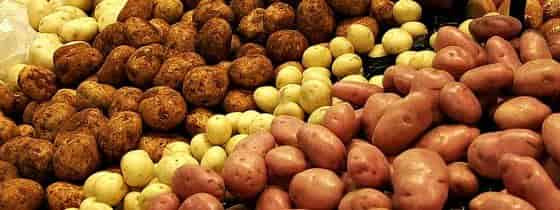 Potato Dietary Fiber
 Potato – 3 position Quality Characteristics