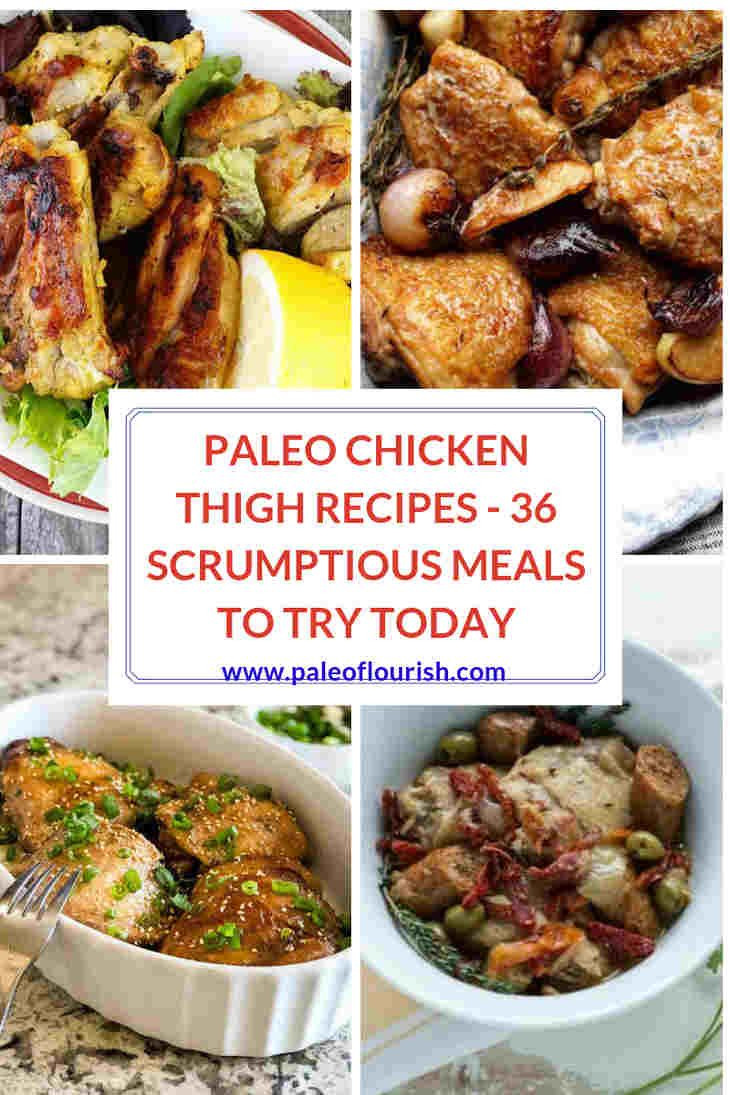 Pressure Cooker Chicken Thighs Paleo
 Paleo Chicken Thigh Recipes 36 Scrumptious Meals To Try