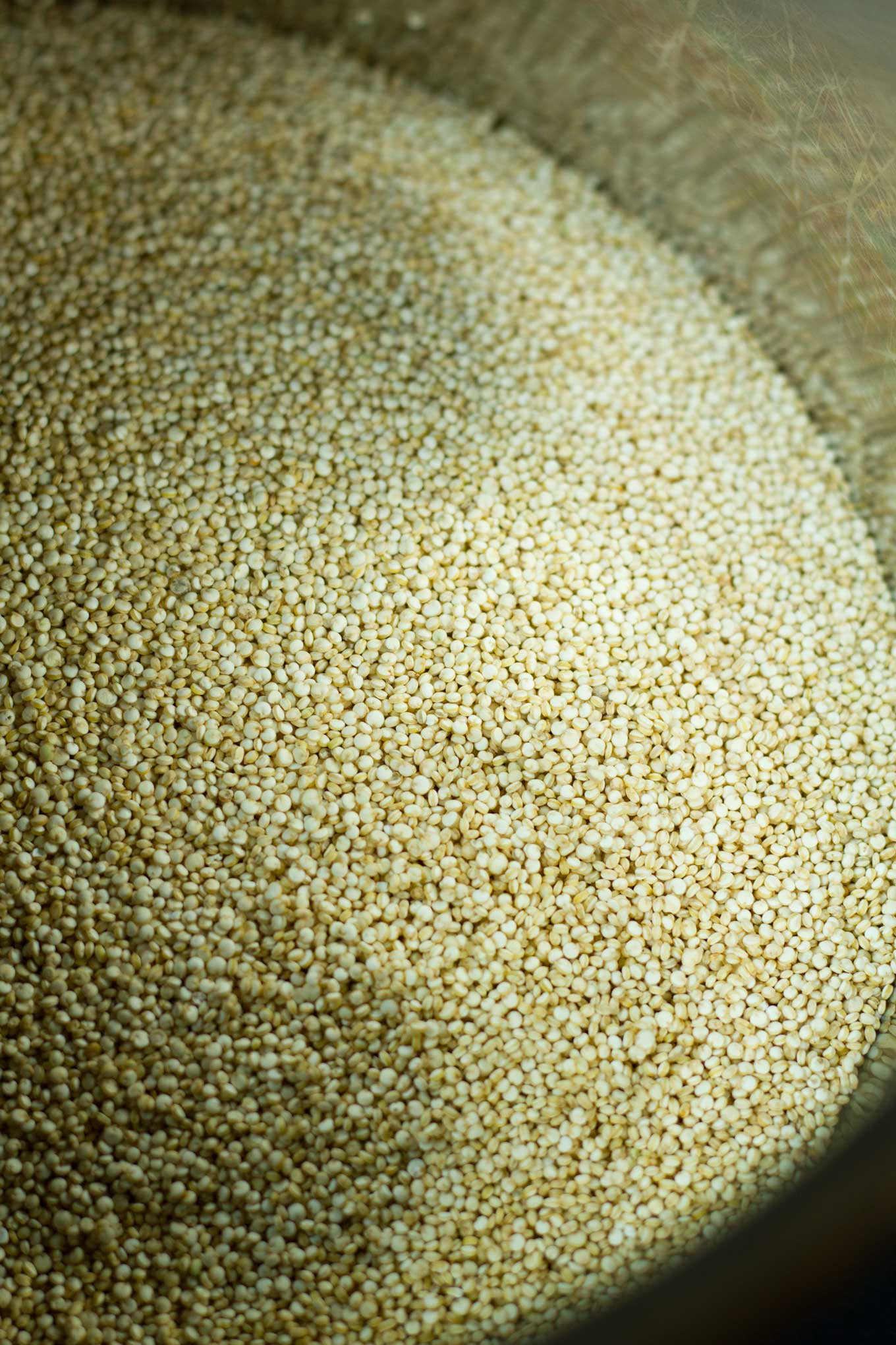 Pressure Cooking Quinoa
 Pressure Cooker Quinoa Instant Pot