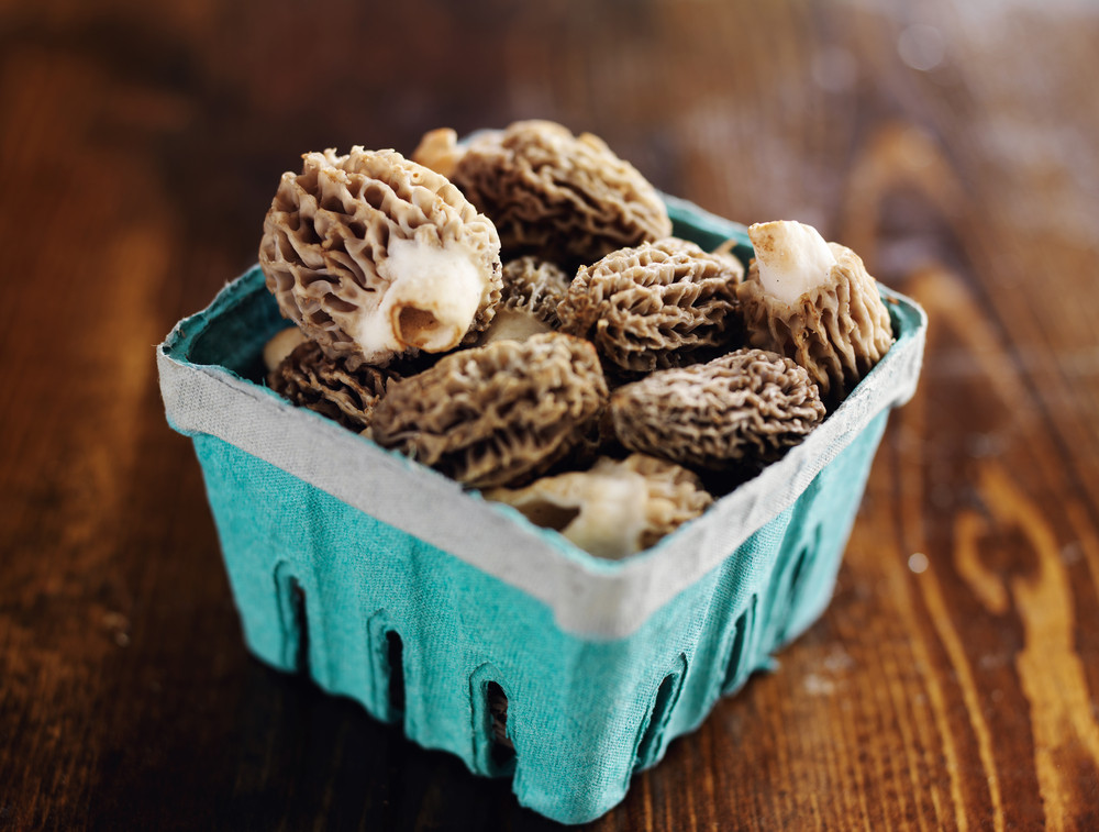 Price Of Morel Mushrooms
 The 12 Most Expensive Mushrooms In The World