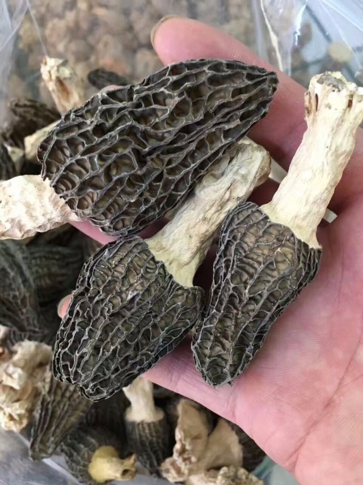 Price Of Morel Mushrooms
 Alibaba supplier Price of black morel mushroom dried morel